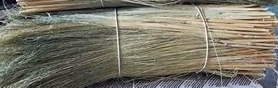 Craft Broom Corn with Stalks 2 Pound Bundle 24-36" Length - Image 5