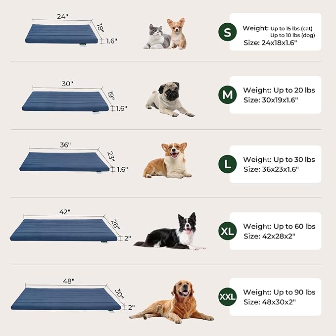 BALANCE Dog Crate Bed, Orthopedic Dog Bed Pad with Waterproof Liner, Washable Crate Foam Pet Mat for Large, Medium, Puppy Dogs Breeds, Mint Leaf, 48"x30"x2"