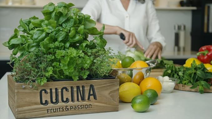 Cucina Fruits & Passion Hand Soap Refill – 1 Liter Sea Salt and Amalfi Lemon – - Image 4