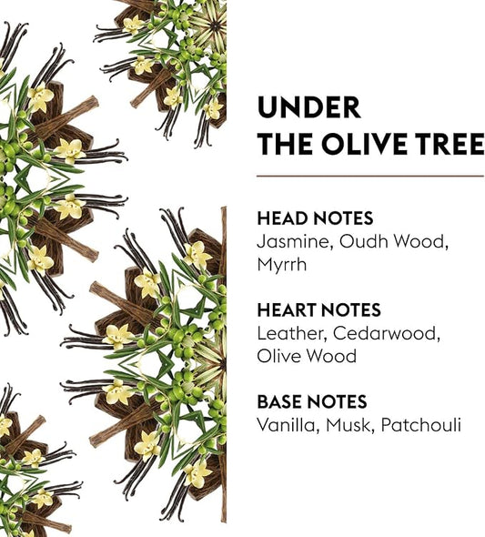 MAISON BERGER - Under The Olive Tree - Lampe Berger Fragrance Refill - Image 2