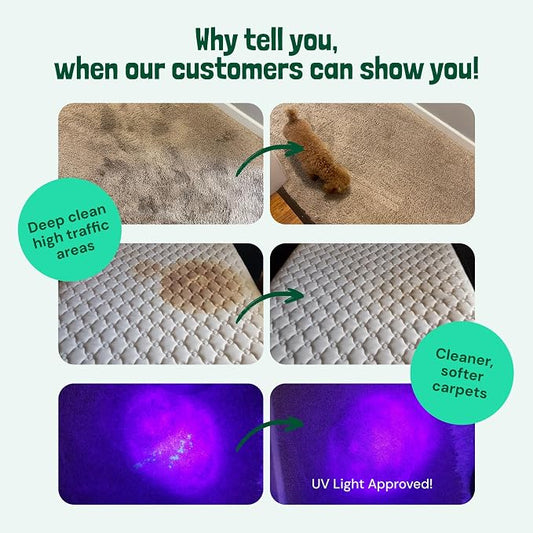 Sunny & Honey Carpet Cleaner Solution - Image 2