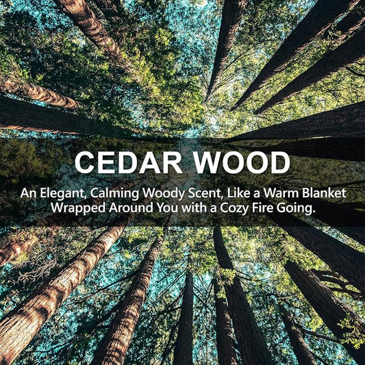 ROSE COTTAGE Large 12 Packs Cedar Wood Hanging Closet Deodorizer Air Freshener - Image 2