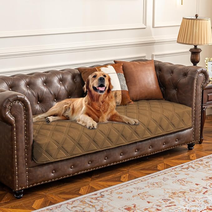 Beds & Furniture