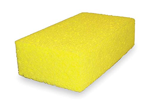 Sponge by Unknown