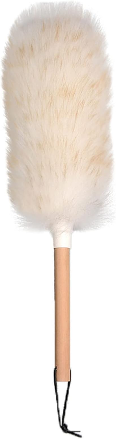 JIYAN Feather Duster with Wood Handle, Blinds Cleaner Purifier, Brush Cleaning by Unknown