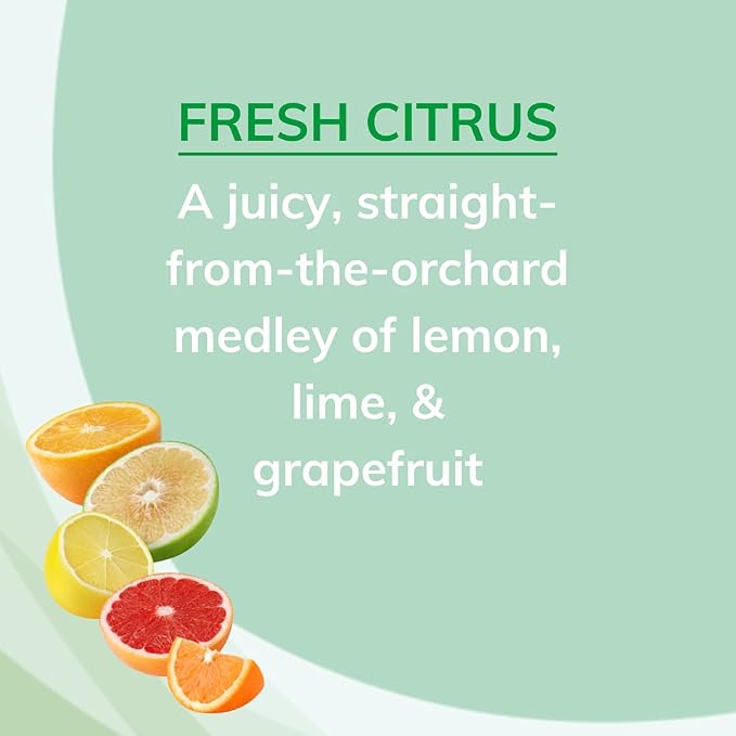 Citrus Magic Odor Absorbing Solid Air Freshener Fresh Citrus - Image 3
