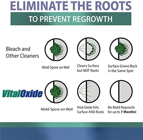 Vital Oxide Disinfectant, Deodorizer, Food-Contact Sanitizer, Virucide – – - Image 3