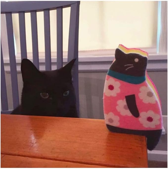 Sink Cat Dish Sponge Scrubber for Washing Dishes Dishwashing Cloth Scrubber - Image 6
