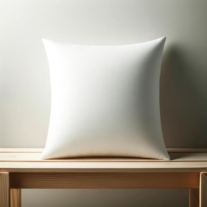 20 x 20 inches Pillow Inserts, Set of 4 Hypoallergenic Brushed Microfiber Liner Down Alternative Filled Square Cushion Throw Pillow