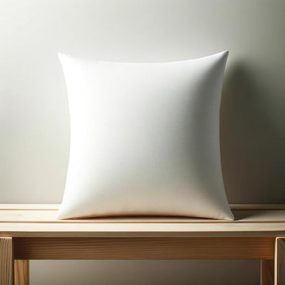 20 x 20 inches Pillow Inserts, Set of 4 Hypoallergenic Brushed Microfiber Liner Down Alternative Filled Square Cushion Throw Pillow