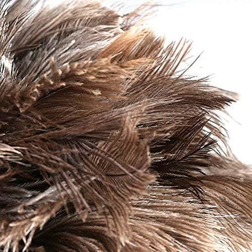 Feather Dusters for Cleaning, Feather Duster Ddzmz Fluffy Natural Genuine - Image 7