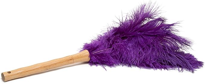 AVIAN COLOR FEATHER DUSTER. - Image 2