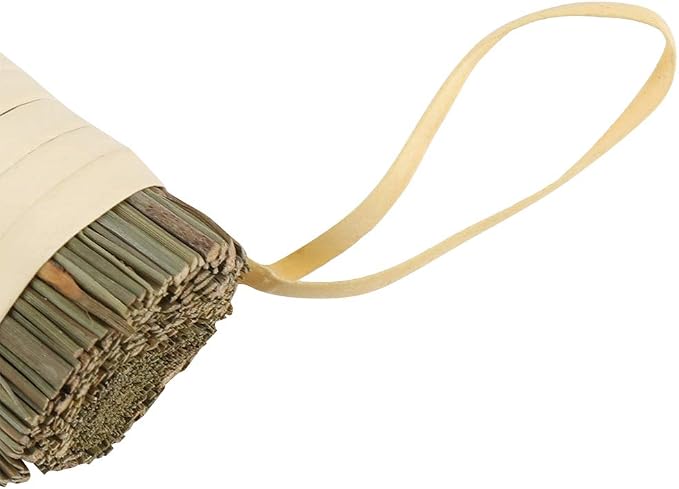 10.2 Inch Whisk Broom Hand Held - Image 8