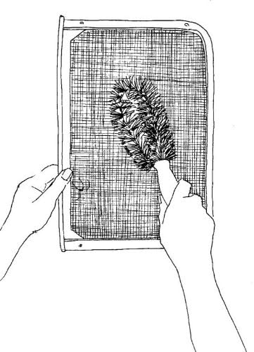 Brushtech Clothes Dryer Lint Screen Brush B304C - Image 4