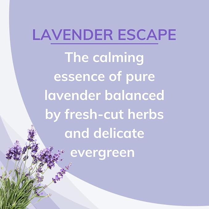 Citrus Magic Odor Absorbing Solid Air Freshener, Lavender Escape, 8 Ounce - Image 3