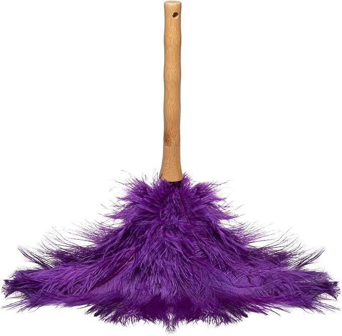 AVIAN COLOR FEATHER DUSTER. by Unknown