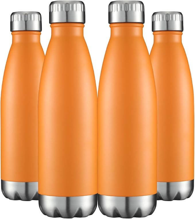 HASLE OUTFITTERS 17oz Stainless Steel Water Bottles Bulk, Vacuum Insulated by HASLEOUTFITTERS