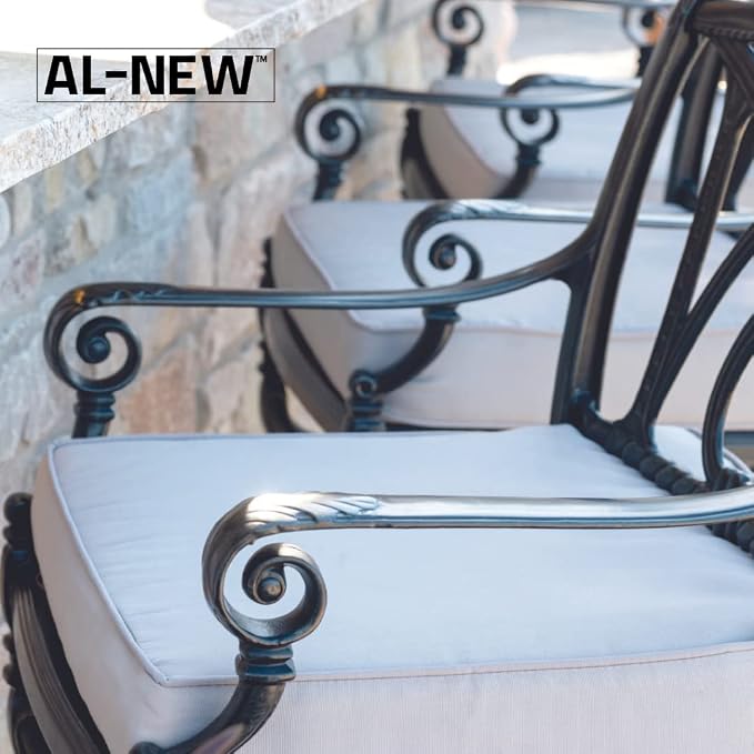 AL-NEW Patio Cushion Cleaner | Safe - Image 3