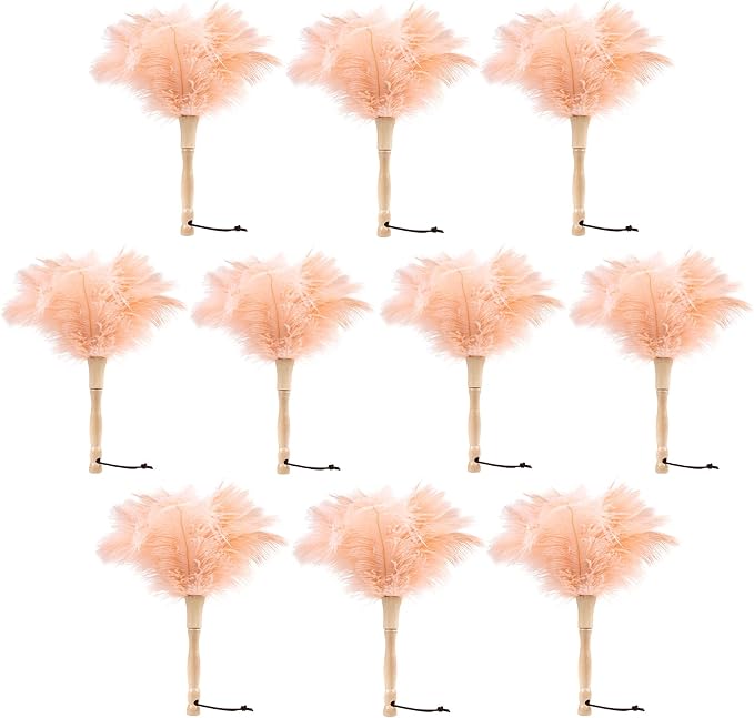 Ostrich Feather Duster 12 Inch Handheld Duster Supplies, Wooden Handle Feather by MehelloFeather