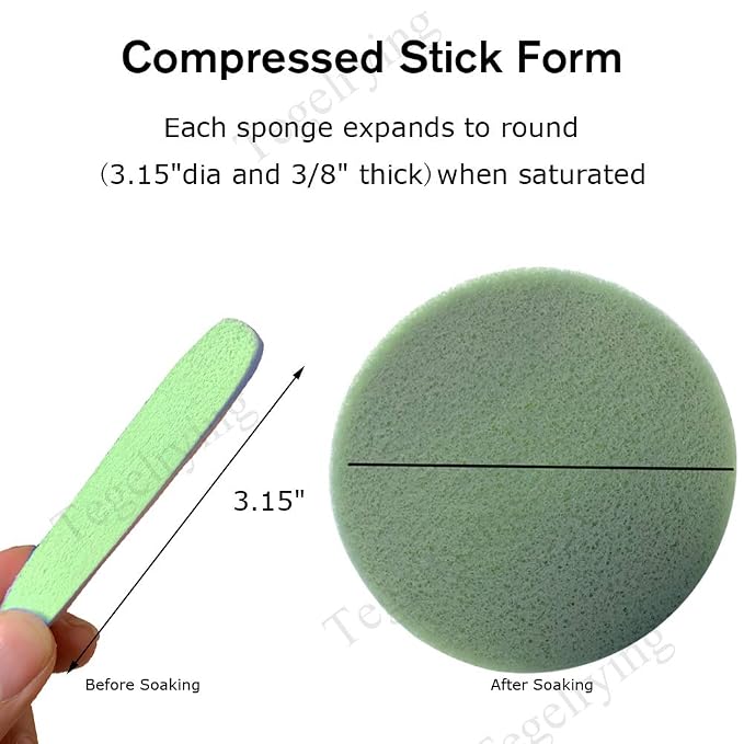 Facial Sponge Compressed - Image 2