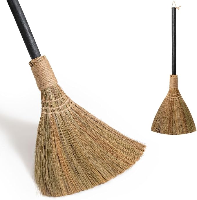 Natural Whisk Sweeping Black Handle Broom by TTSForHome