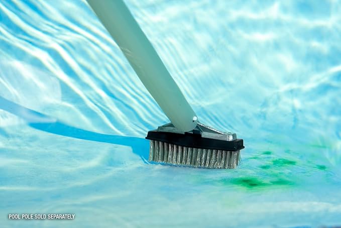 Poolmaster 20178 5-Inch Aluminum-Back Swimming Pool Algae Brush - Image 4