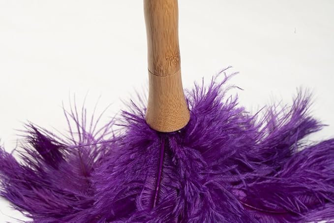 AVIAN COLOR FEATHER DUSTER. - Image 4