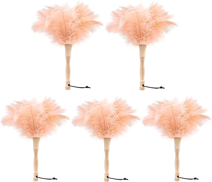 Ostrich Feather Duster 12 Inch Handheld Duster Supplies, Wooden Handle Feather by MehelloFeather