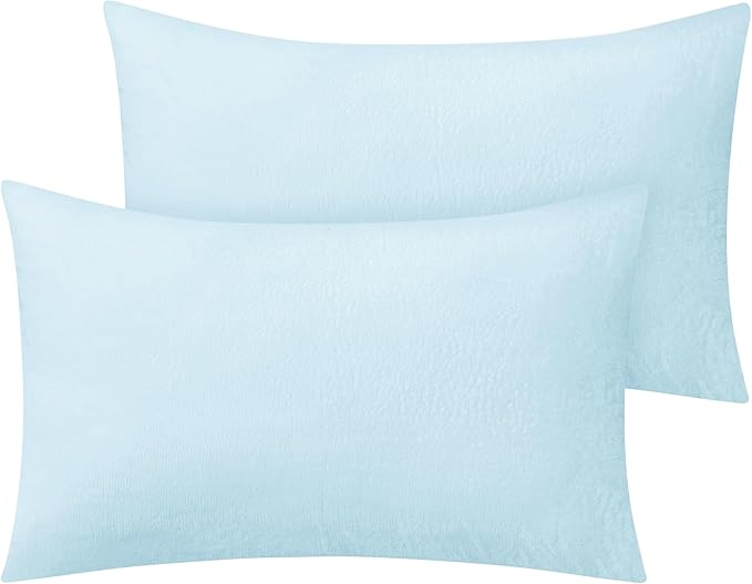 BEDELITE Flannel King Size Pillow Cases Set of 2, Super Soft Fleece Pillowcases with Zipper for Bedroom, Sofa, Couch,Luxury Cozy Fuzzy Velvet Pillow Shams for All Seasons(20x40 Inches,Blue)