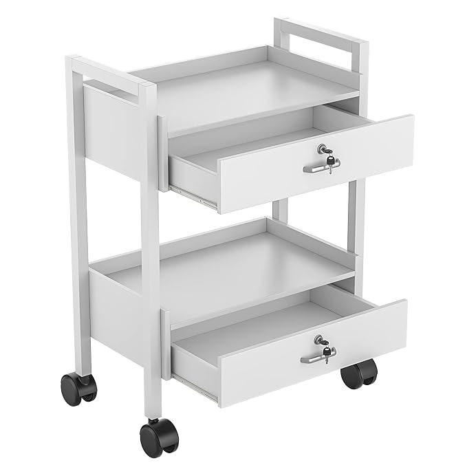 Paddie Salon Trolley Cart, Salon Tray Wooden Mobile Utility Cabinet - Image 4