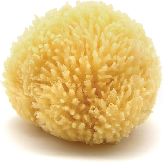 Neptune Caribbean Sea Sponge, Hand Cut, Approx. 4-5 inches by Unknown