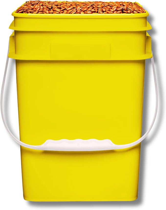 House Naturals 4 Gallon Square Food Grade Bucket Pail - Image 2