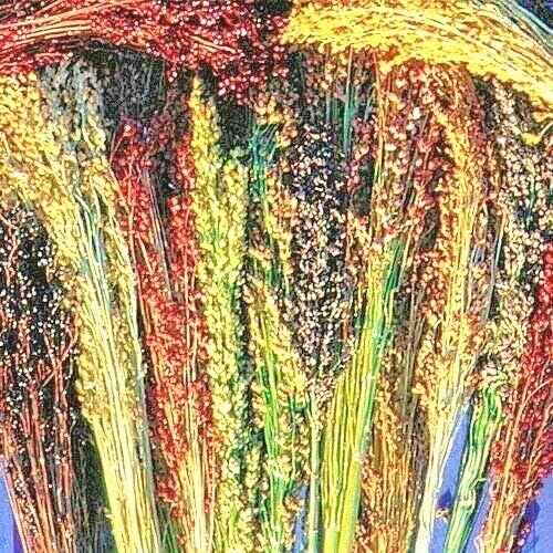 Broom Corn Seed Multi Color Crafts Home Accents Gold Red Bronze Purple Brown by Jocadew