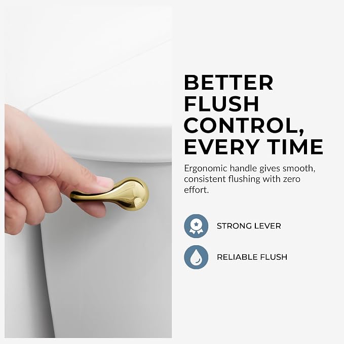 Qualihome Toilet Handle Replacement - Image 5