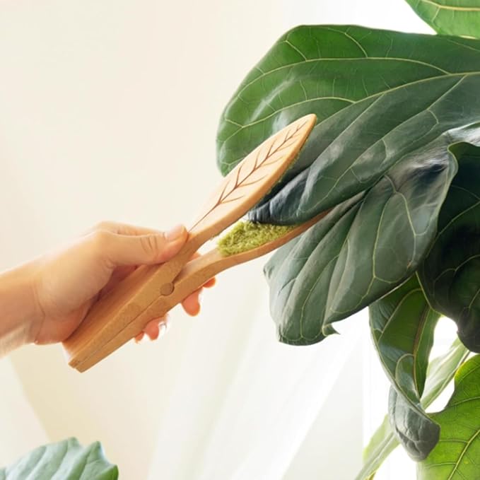 Leaf Cleaning Tongs, House Plant Leaf Cleaning Tongs, Leaf Cleaning Tools - Image 4
