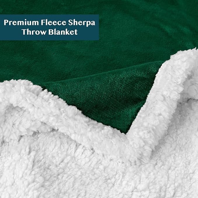 PAVILIA Sherpa Fleece Throw Blanket for Couch, Emerald Green, Plush Soft Fuzzy Sofa Blanket, Cozy Reversible Winter Throw for Women Men, 50x60 Inches