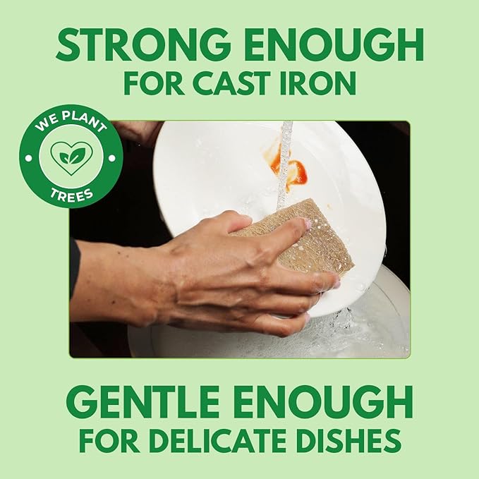 Natural Kitchen Sponges Pack of 20 - Image 3