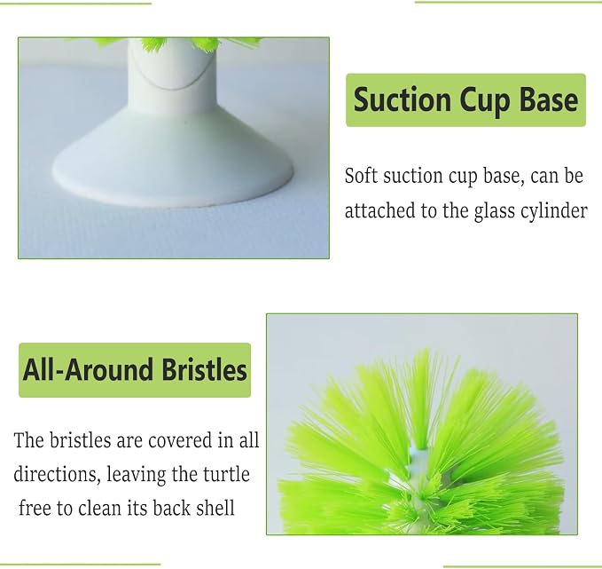Turtle Scrub Brush, Turtle Scratches Back Brush Turtle Shell Clean Brush - Image 3