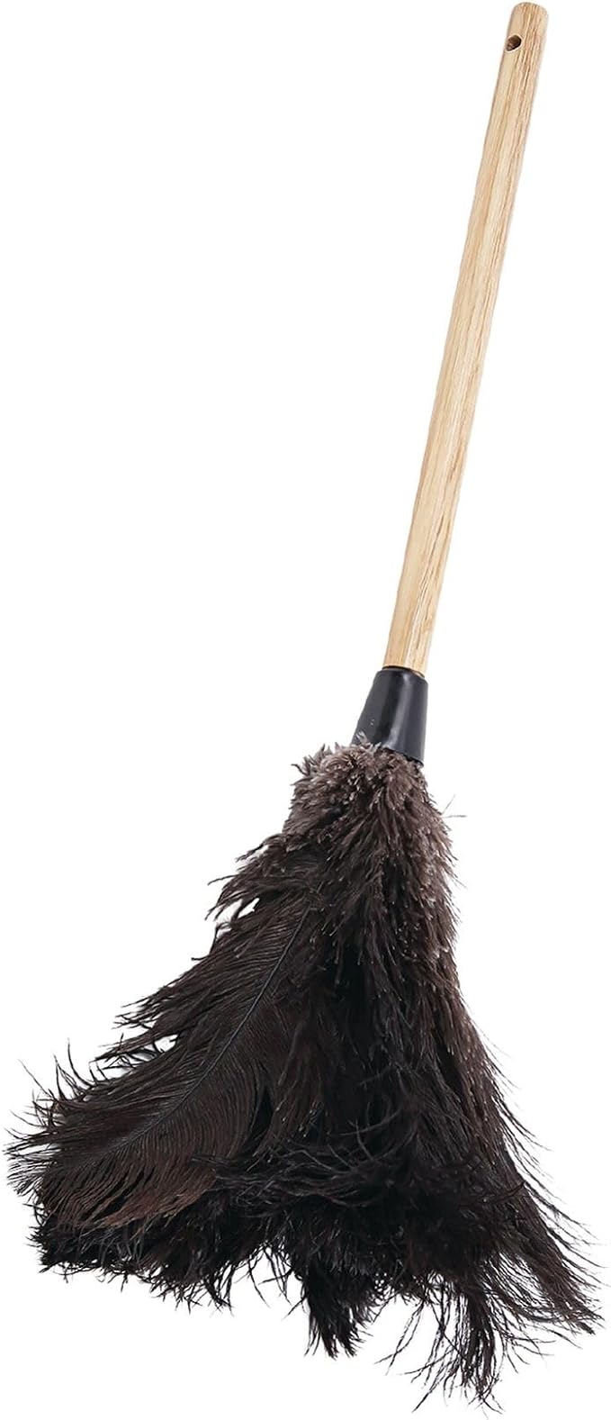 Boardwalk BWK20BK 10 in. Handle Professional Ostrich Feather Duster by Boardwalk