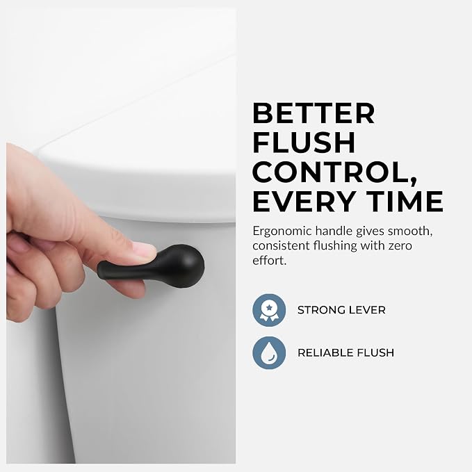 Qualihome Toilet Handle Replacement - Image 5