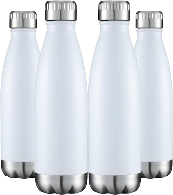 HASLE OUTFITTERS 17oz Stainless Steel Water Bottles Bulk, Vacuum Insulated by HASLEOUTFITTERS