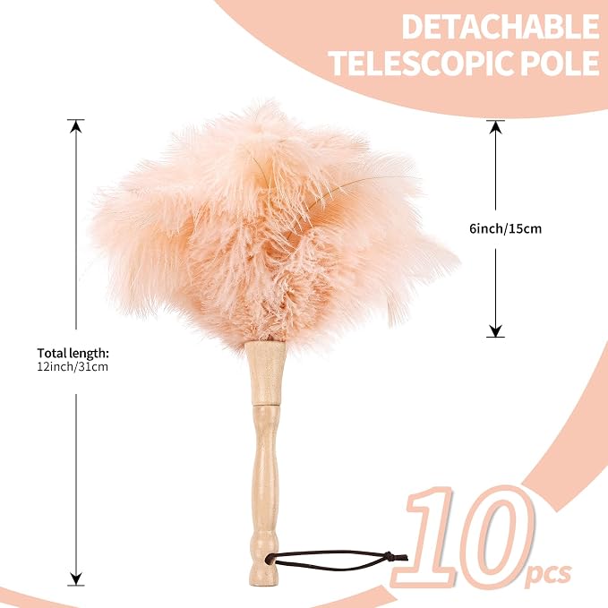 Ostrich Feather Duster 12 Inch Handheld Duster Supplies, Wooden Handle Feather - Image 2