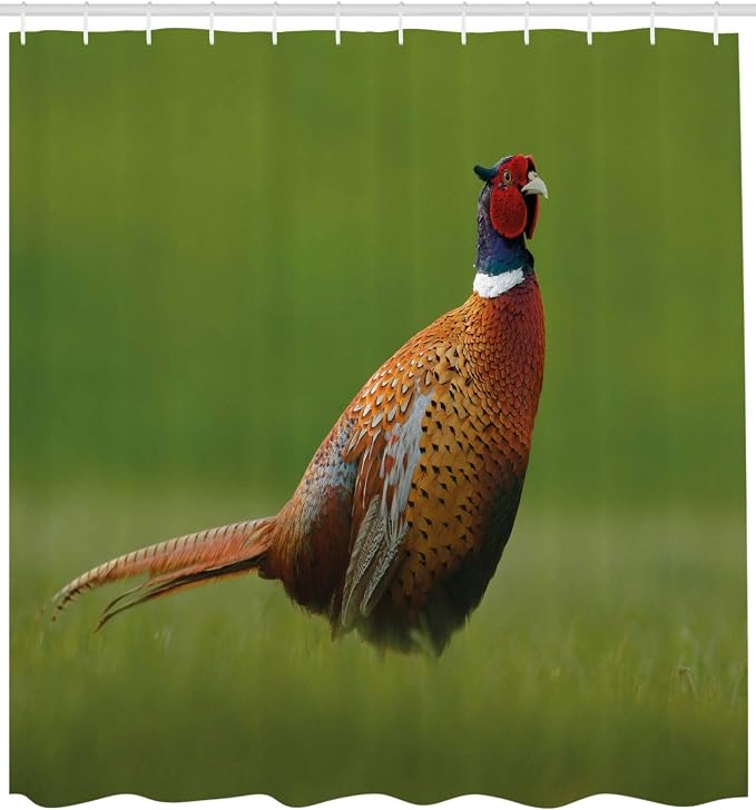 Ambesonne Green Shower Curtain, Czech Republic European Scene of a Creature on - Image 2