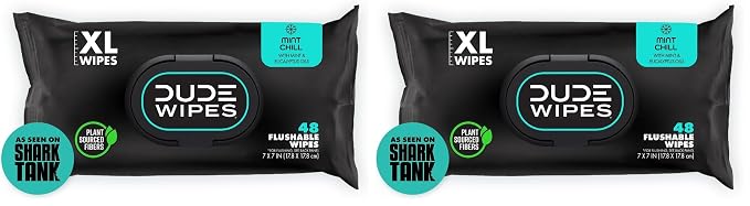 DUDE Wipes, 48 Wipes, 2 Pack | Flushable | Mint Chill | Extra-Large | by DudeWipes