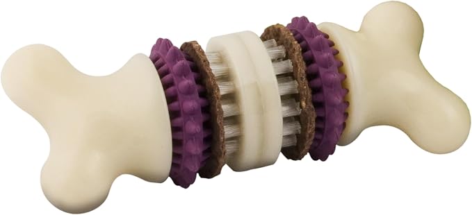 PetSafe Busy Buddy Bristle Bone Dog Chew Toy by PetSafe