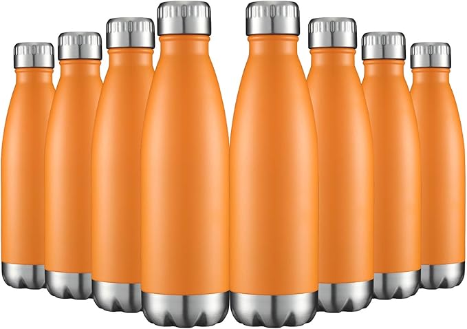 HASLE OUTFITTERS 17oz Stainless Steel Water Bottles Bulk, Vacuum Insulated by HASLEOUTFITTERS