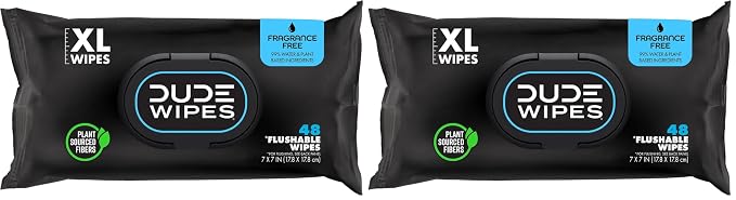 DUDE Wipes, 2 Pack | Flushable | Unscented | Extra-Large | Vitamin-E & Aloe by DudeWipes