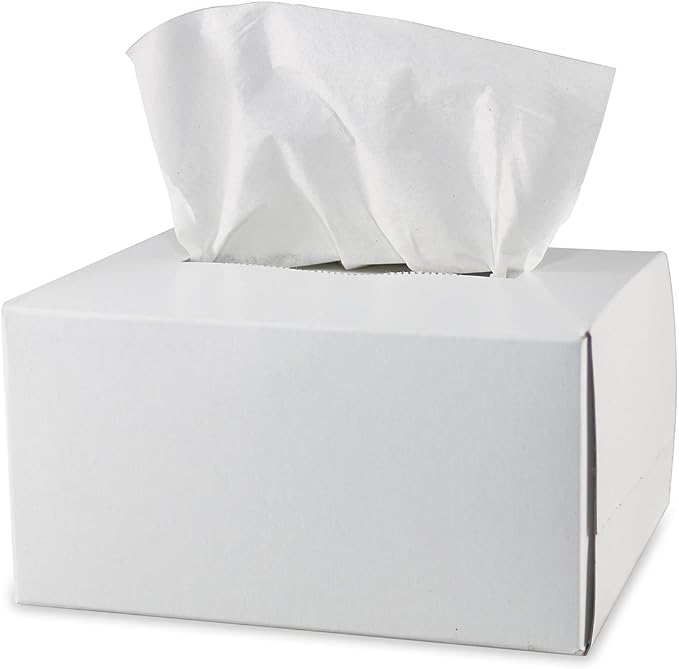 Pyramex Safety Products LT300 Lens Cleaning Tissues, Package of 300 White by PyramexSafety