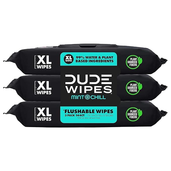 DUDE Wipes Mint Chill Flushable Wipes by DudeWipes