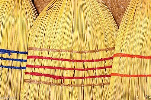 BROOM CORN SEEDS - Image 3